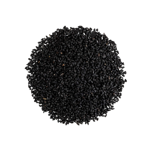 graines de nigelle nigella sativa cumin noir corek otu