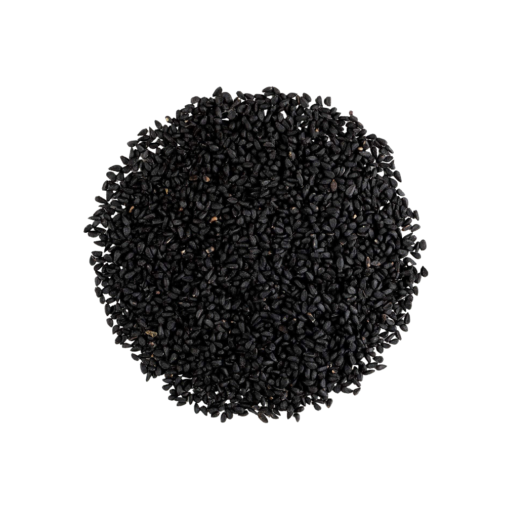 graines de nigelle nigella sativa cumin noir corek otu graines de nigelle nigella sativa cumin noir corek otu