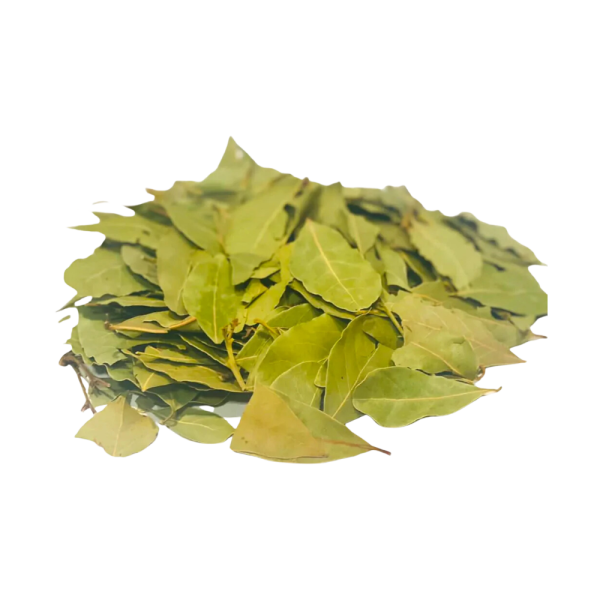 Feuilles de Laurier