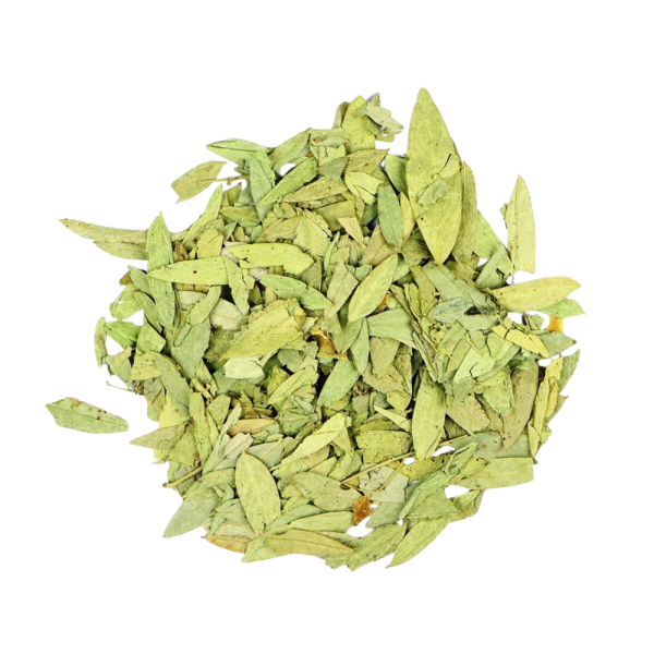 feuilles de séné