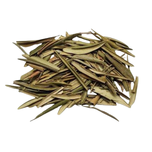 feuilles d'olivier séchées naturelles