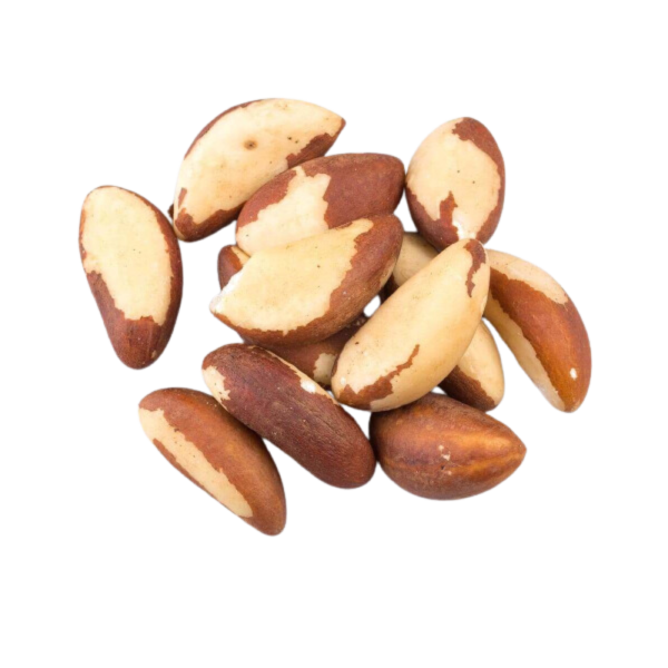 noix du brésil décortiqué