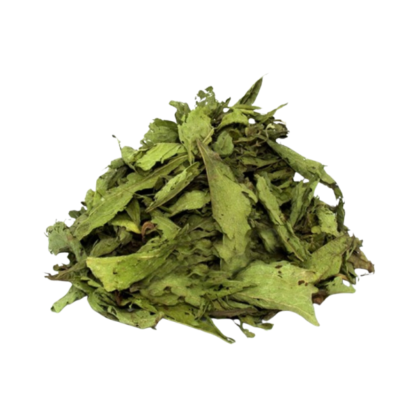 stevia