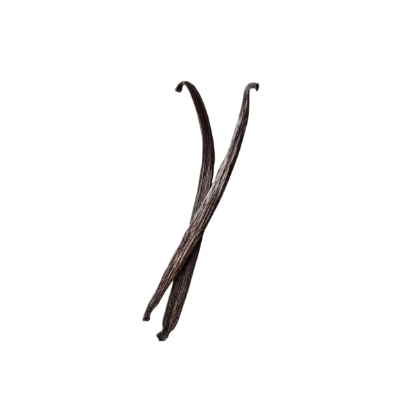 Gousses de Vanille bio de madagascar bio