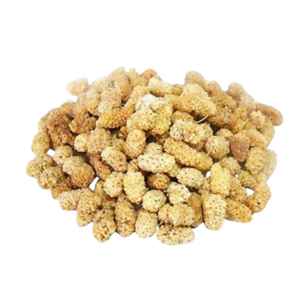 mûres blanches séchées mulberries