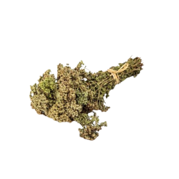 thym entier feuilles tisane infusion