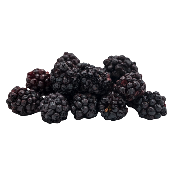 Mûre Lyophilisé