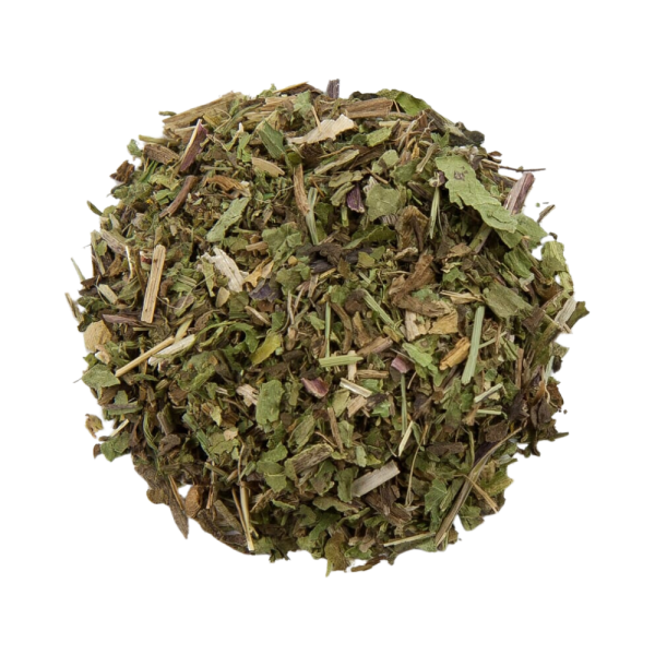 feuilles de pissenlit coupee naturelle dandelion