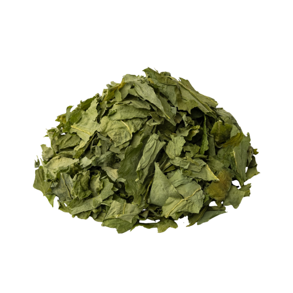 molokhia