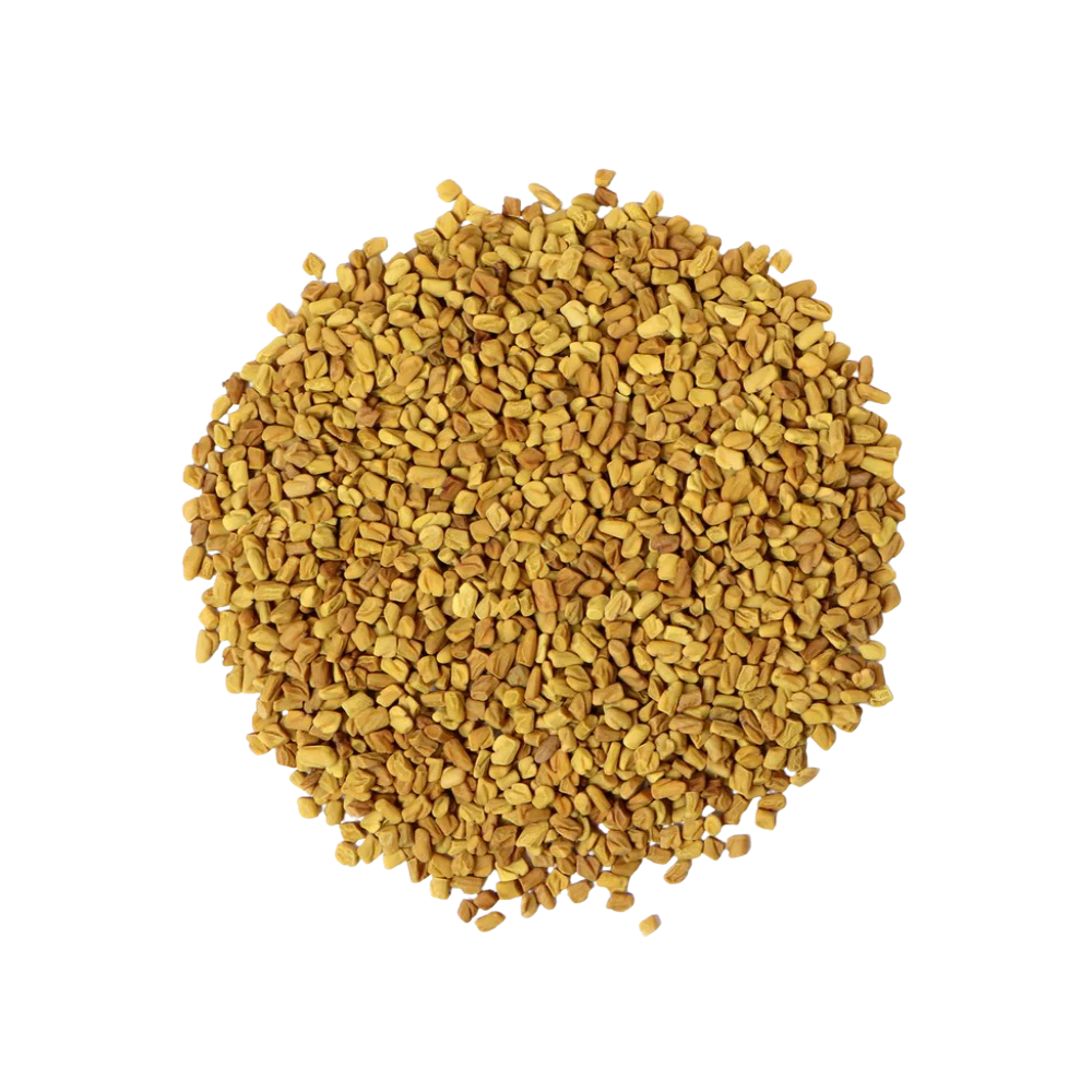 Graines de Fenugrec Graines de Fenugrec