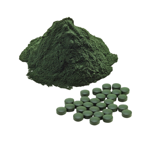 Spiruline Biologique spirulina