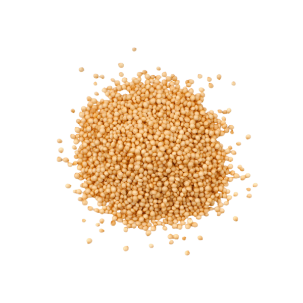 Graines d’amarante séchées (Amaranthus caudatus L.) 50 g