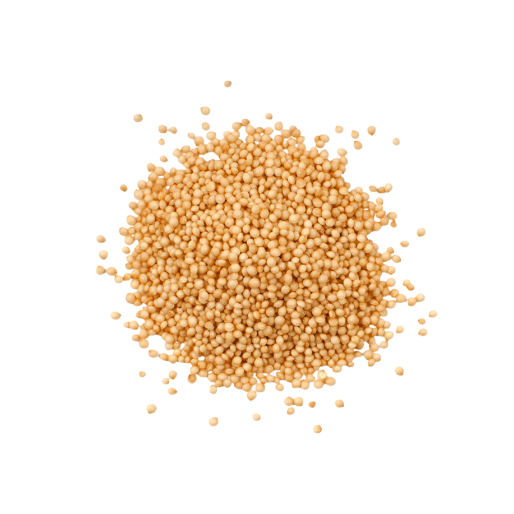 Graines d’amarante séchées (Amaranthus caudatus L.) 50 g Graines d’amarante séchées (Amaranthus caudatus L.) 50 g